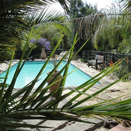 Pine Tree Lodge Midrand Zewnętrze zdjęcie