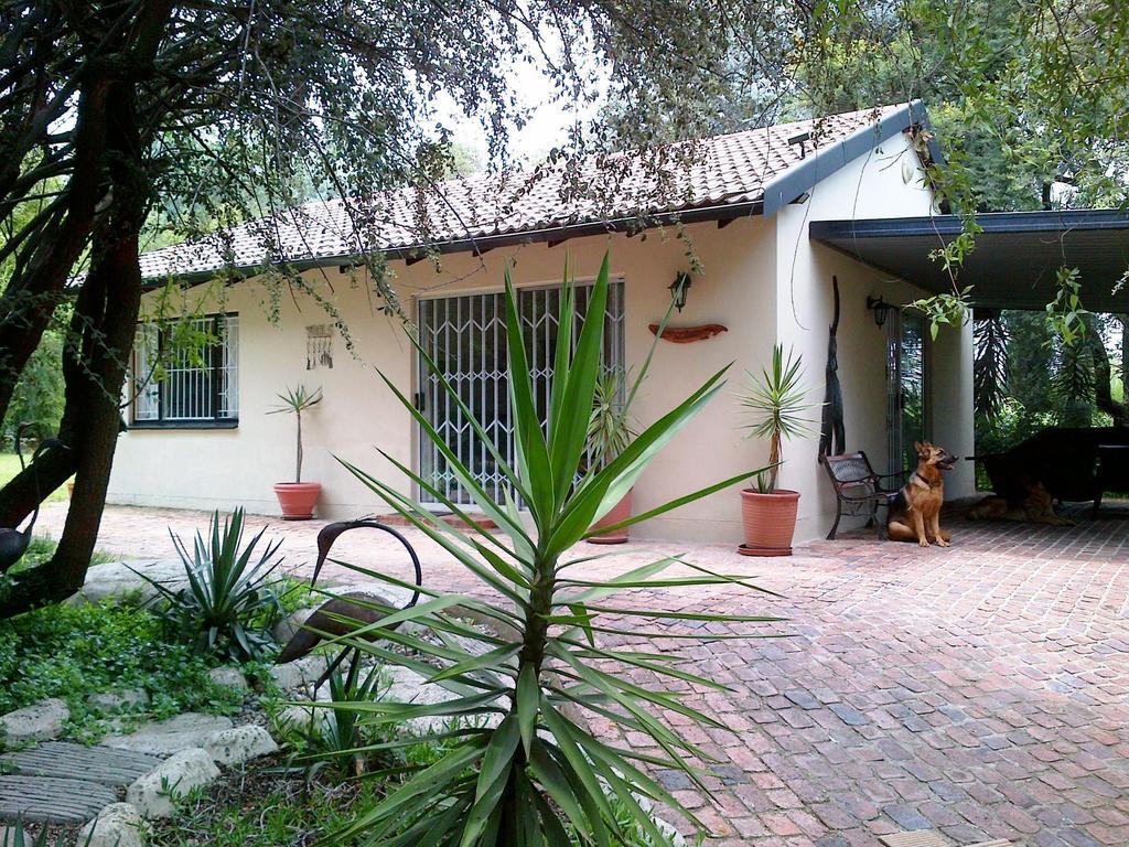 Pine Tree Lodge Midrand Zewnętrze zdjęcie