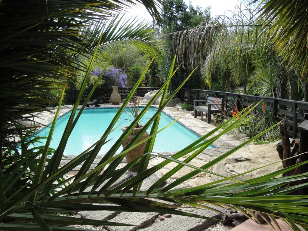 Pine Tree Lodge Midrand Zewnętrze zdjęcie