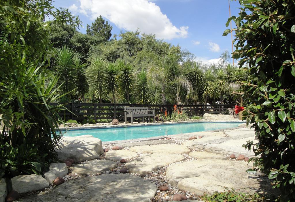 Pine Tree Lodge Midrand Zewnętrze zdjęcie