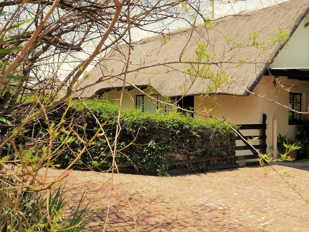 Pine Tree Lodge Midrand Zewnętrze zdjęcie