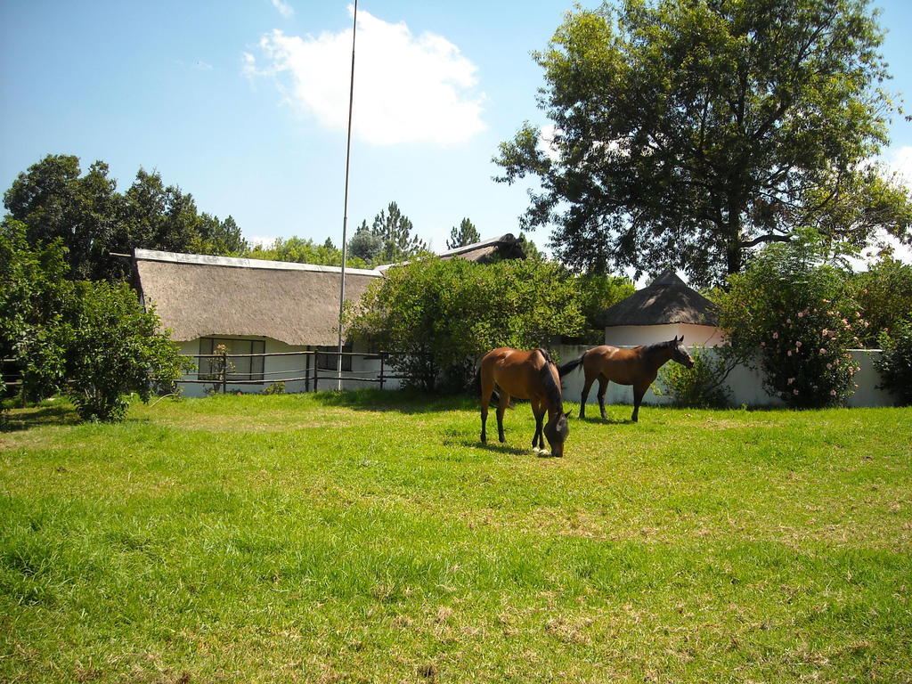 Pine Tree Lodge Midrand Zewnętrze zdjęcie