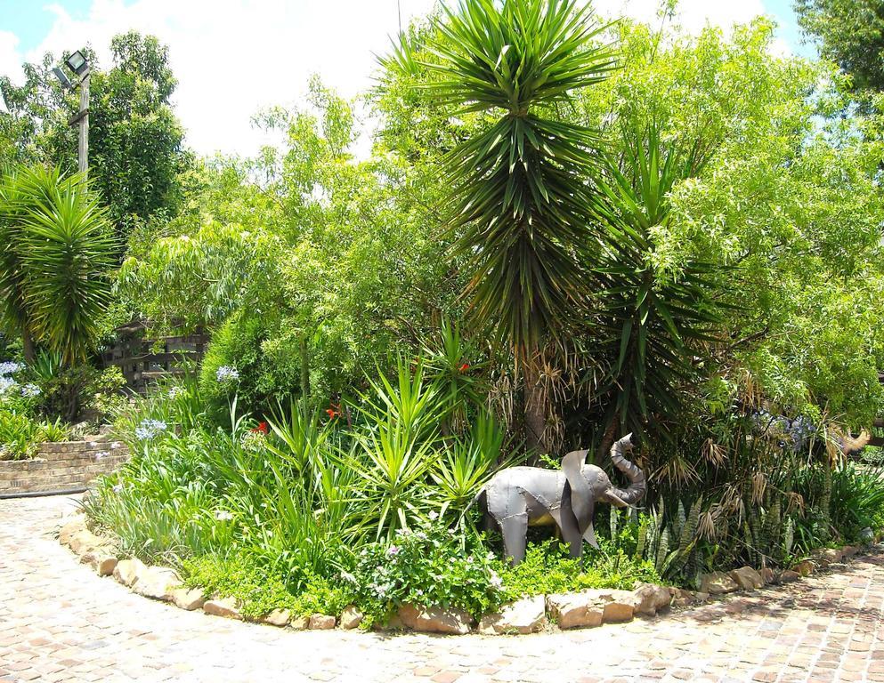 Pine Tree Lodge Midrand Zewnętrze zdjęcie
