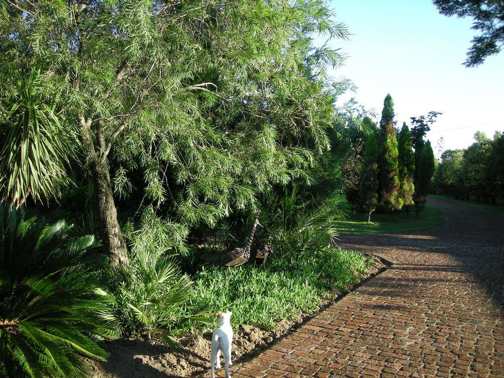 Pine Tree Lodge Midrand Zewnętrze zdjęcie