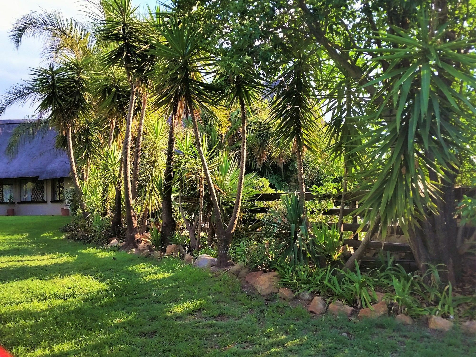 Pine Tree Lodge Midrand Zewnętrze zdjęcie