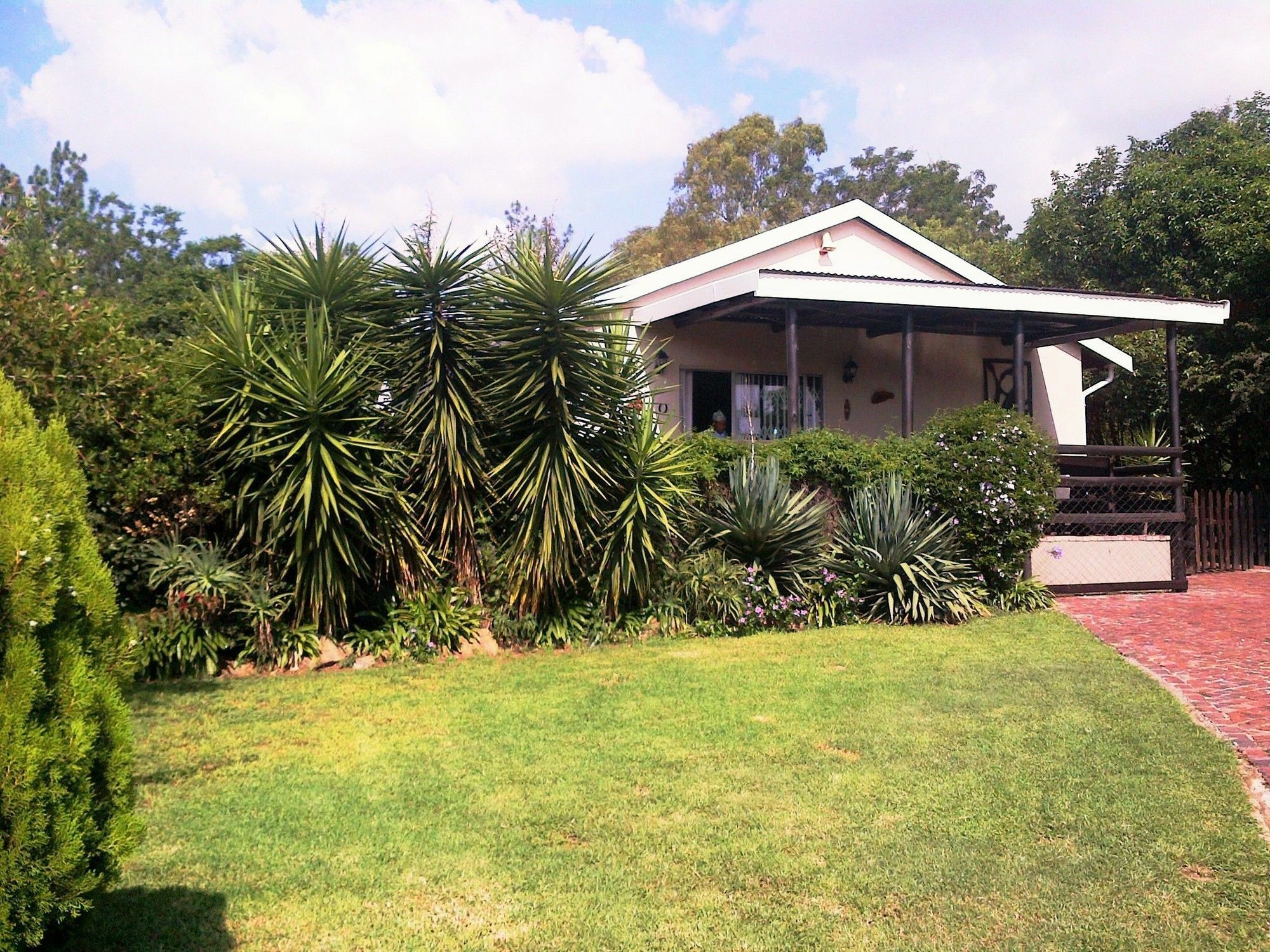 Pine Tree Lodge Midrand Zewnętrze zdjęcie